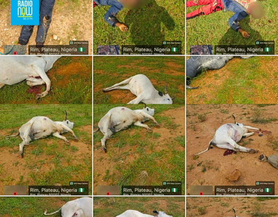 3 killed, 2 injured, livestock lost in Riyom attack