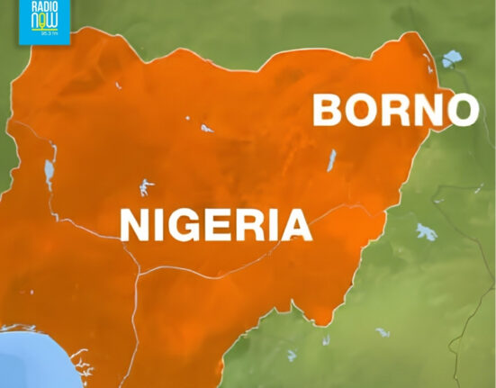 IED blast kills suspected ISWAP bomb experts in Borno