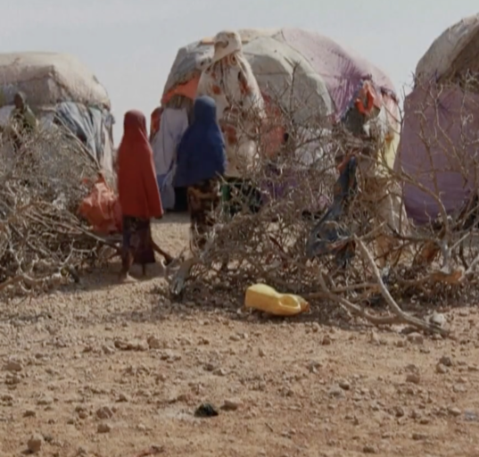 Years-long drought causes Somali families to flee